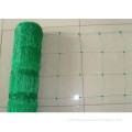 Extruded Plant Support Net- Green 8GSM
